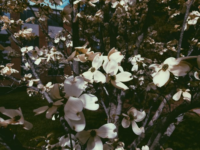 Processed with VSCO with p5 preset