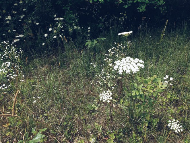 Processed with VSCO with a5 preset