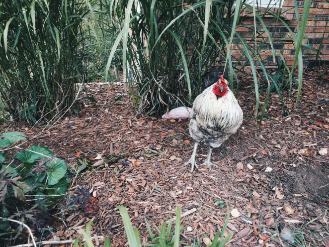 Processed with VSCO with hb2 preset