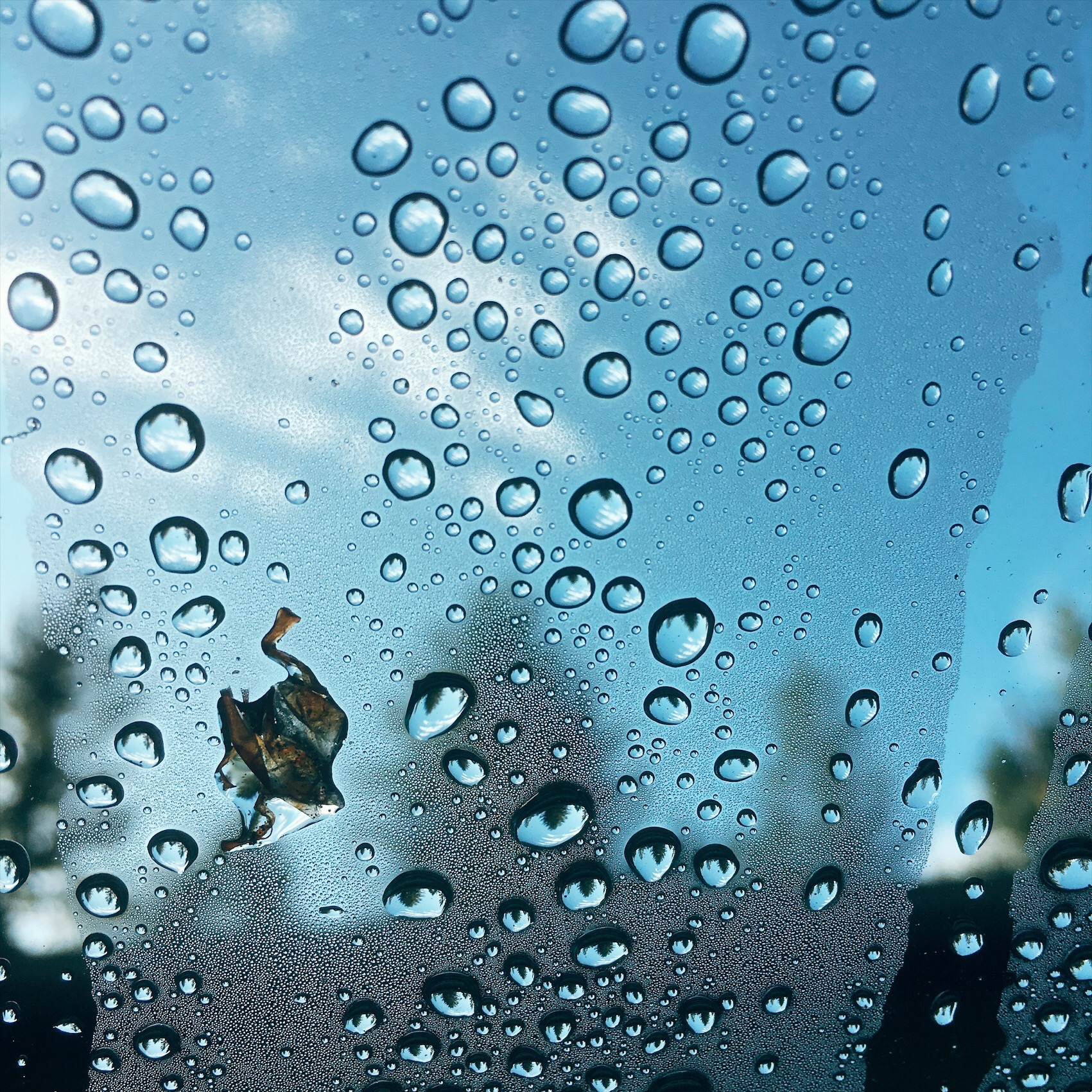 Processed with VSCO with e2 preset