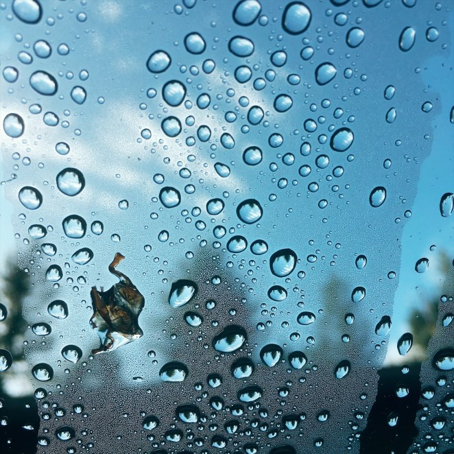 Processed with VSCO with e2 preset