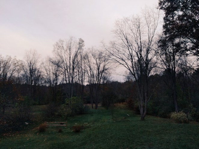 2017-11-04 09.11.45 1.jpg