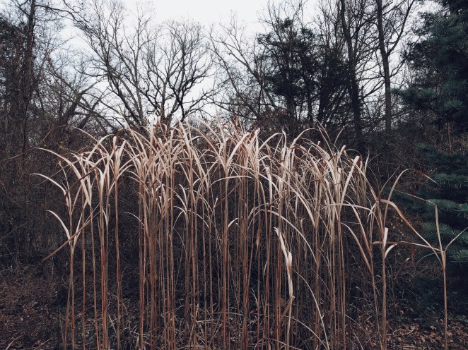 2017-12-02 04.51.22 1.jpg