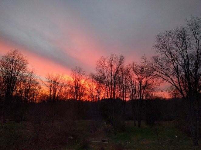 2017-12-02 05.52.24 1.jpg