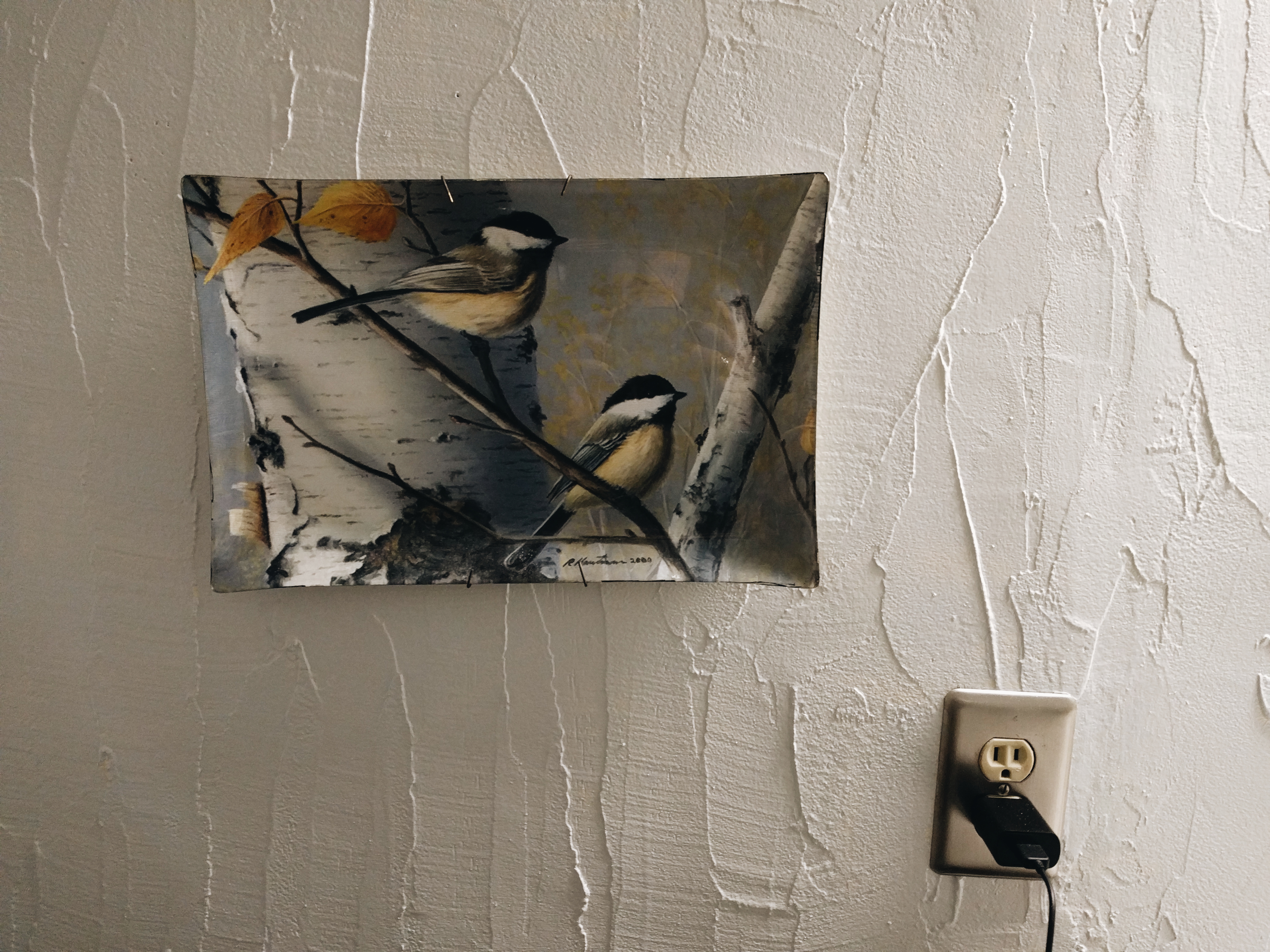 2018-04-01 04.59.46 1.jpg