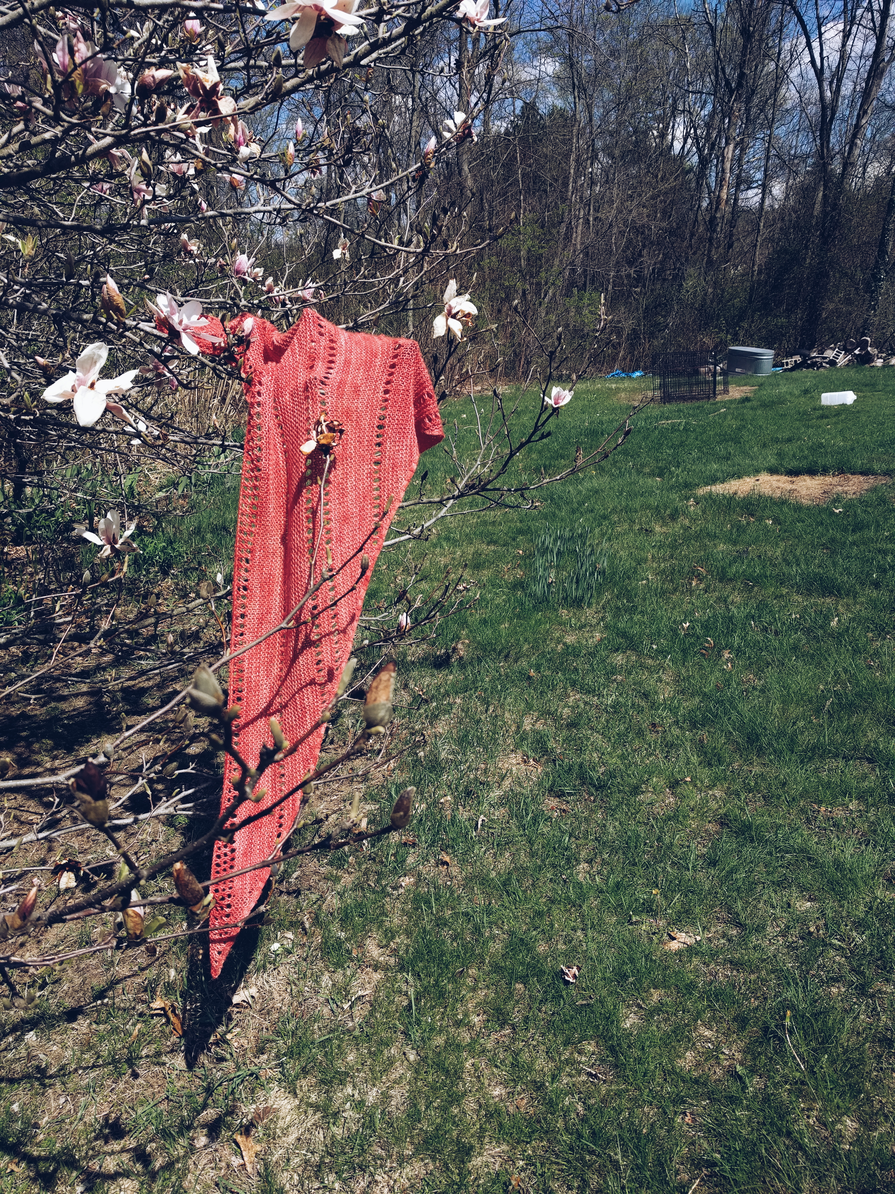 2018-05-05 03.40.15 1.jpg