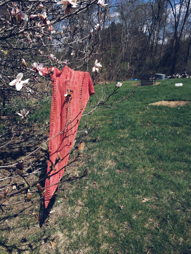 2018-05-05 03.40.15 1.jpg