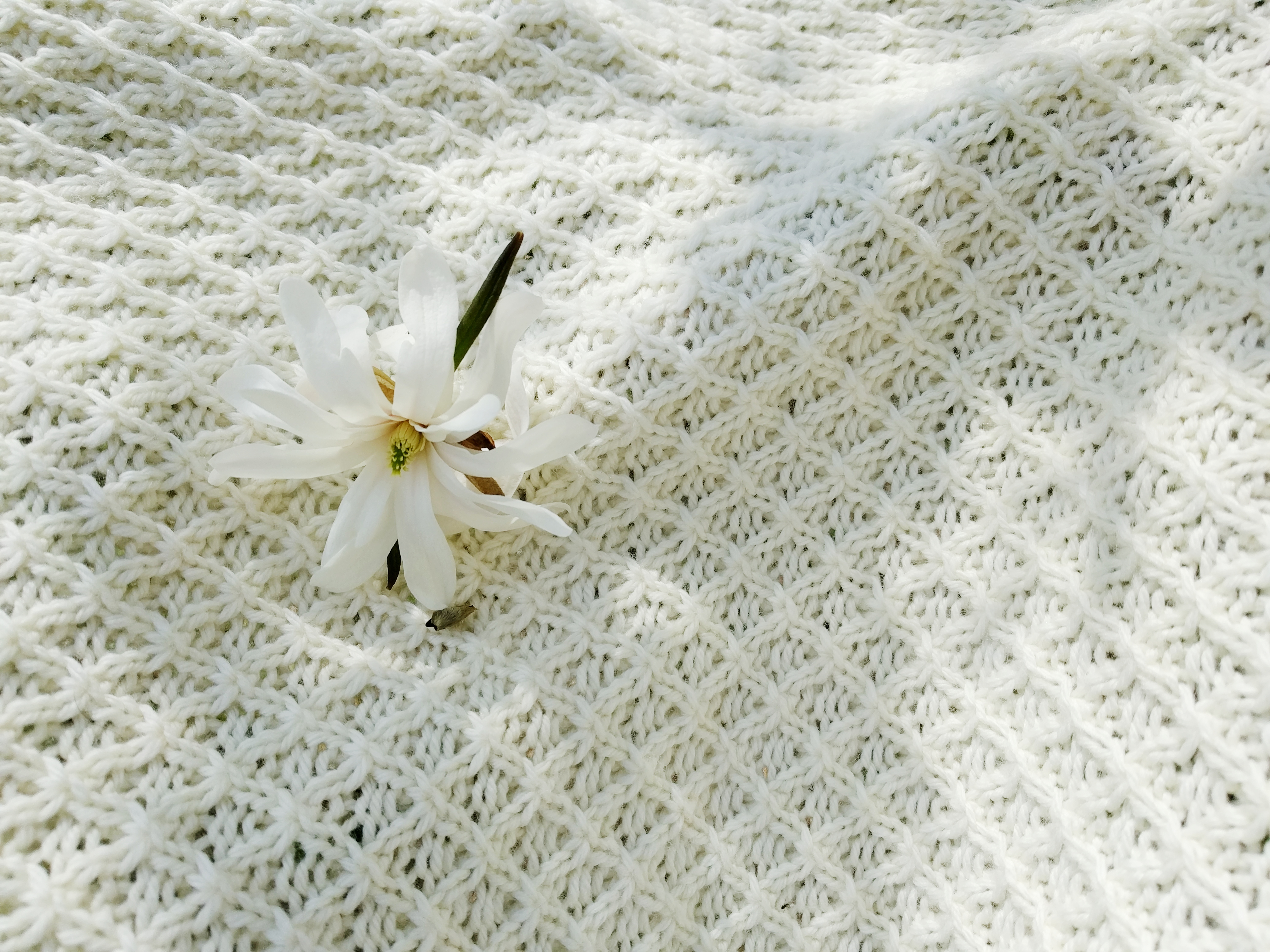 2018-05-05 03.40.17 1.jpg