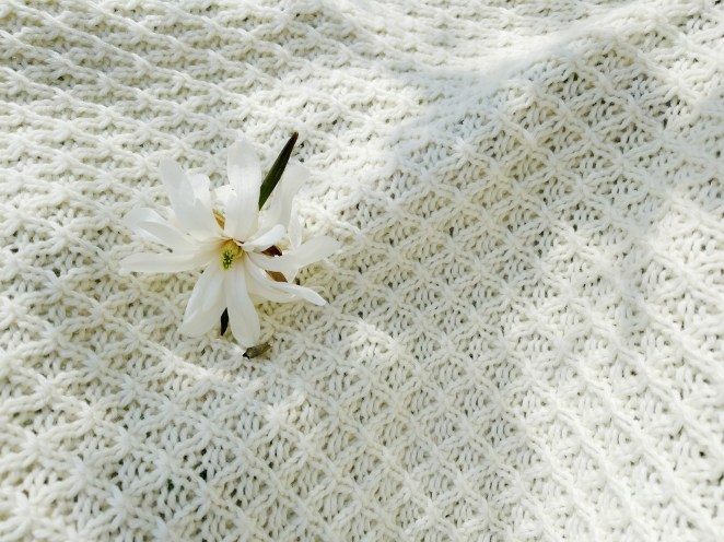 2018-05-05 03.40.17 1.jpg