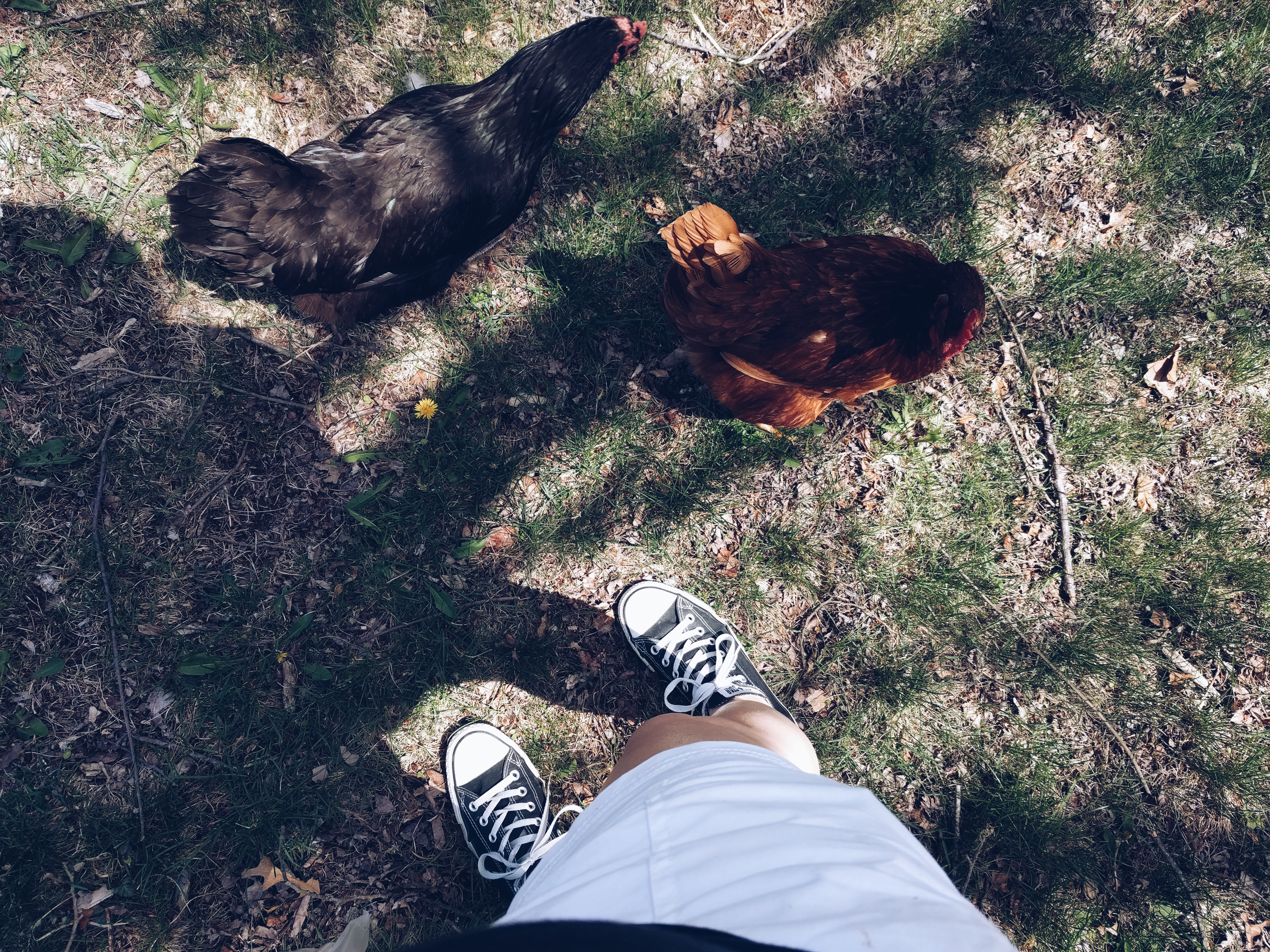 2018-05-05 03.40.18 1.jpg