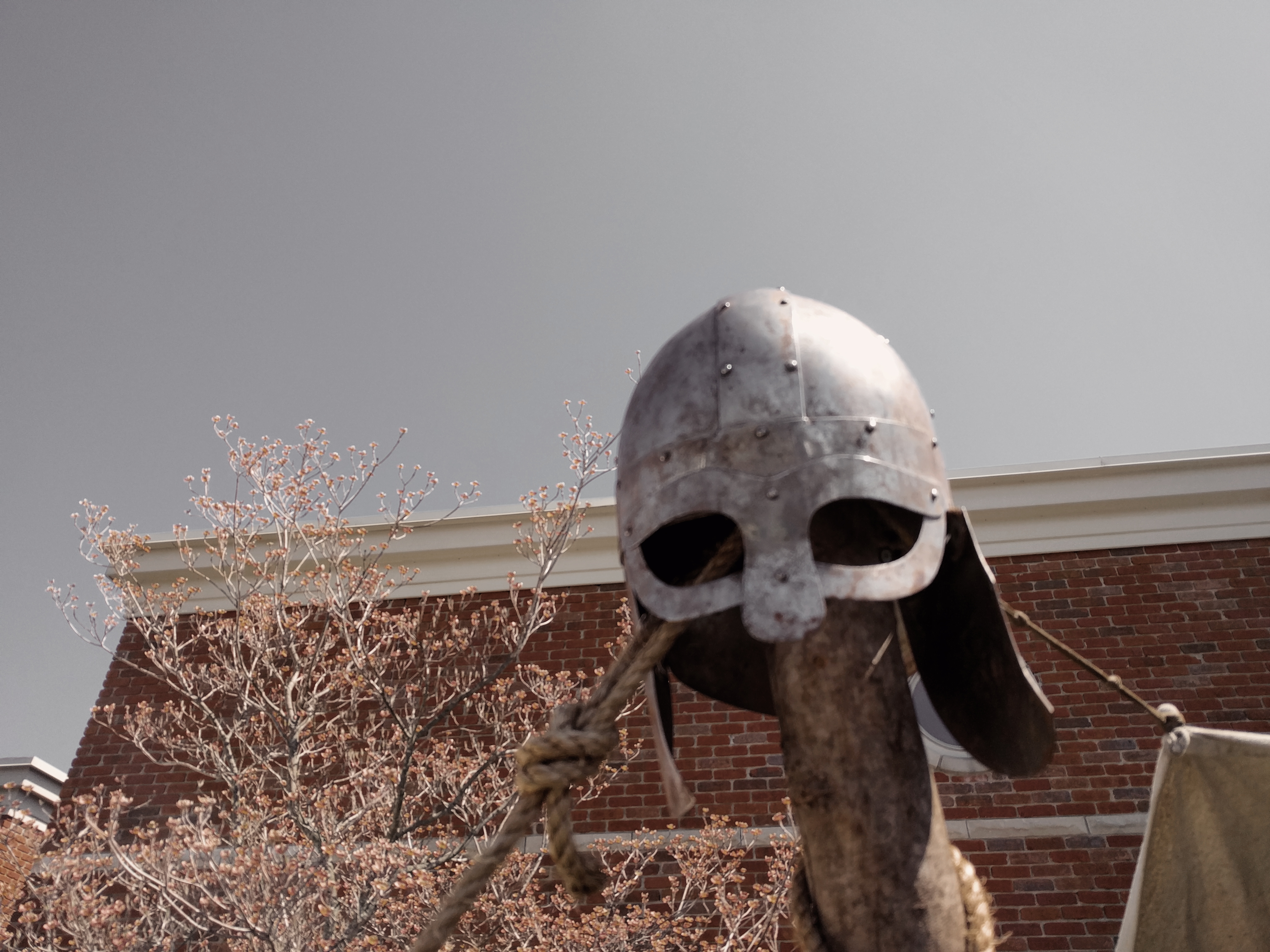 2018-05-05 03.40.41 1.jpg