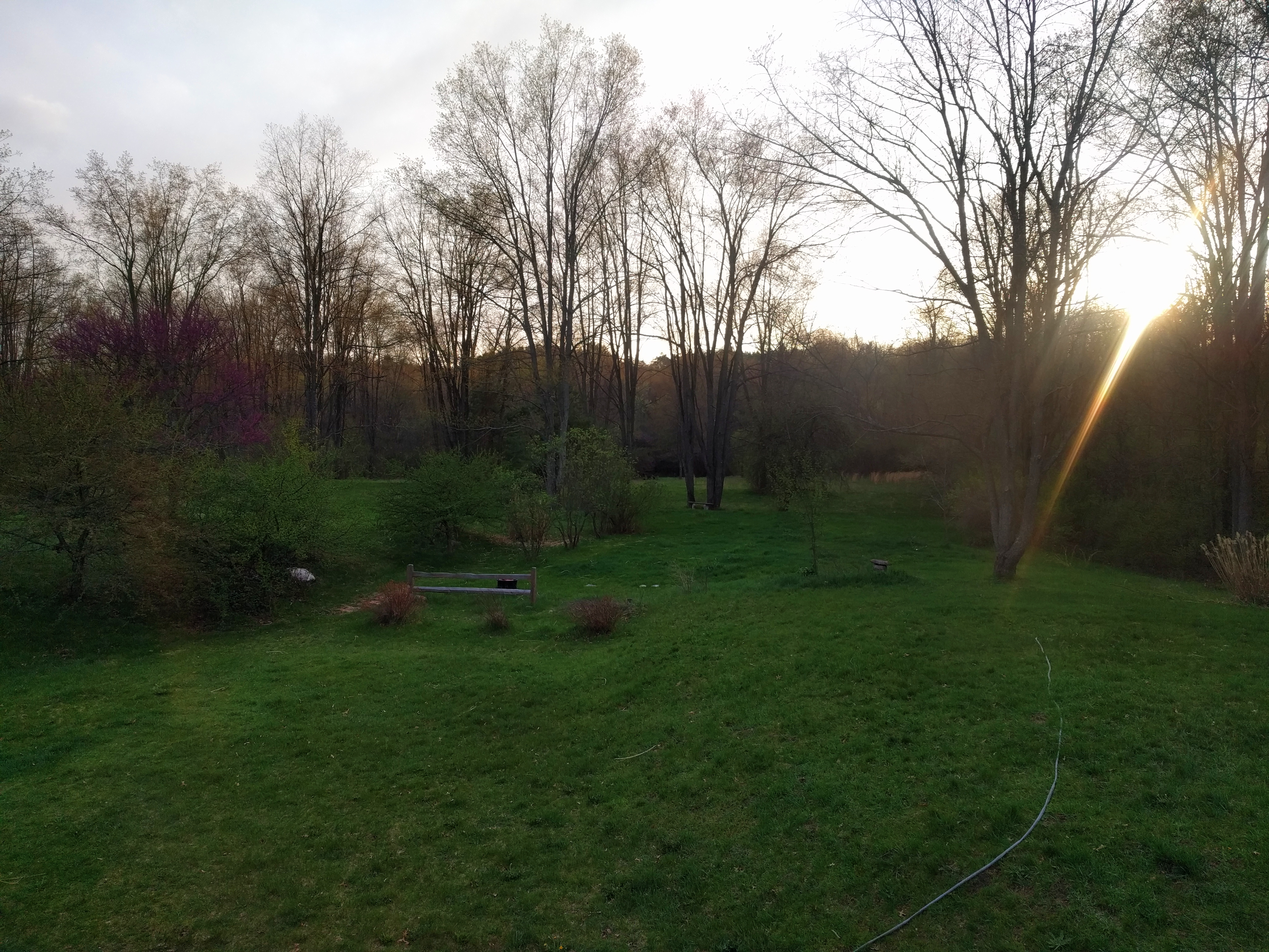 2018-05-05 08.10.06 2.jpg