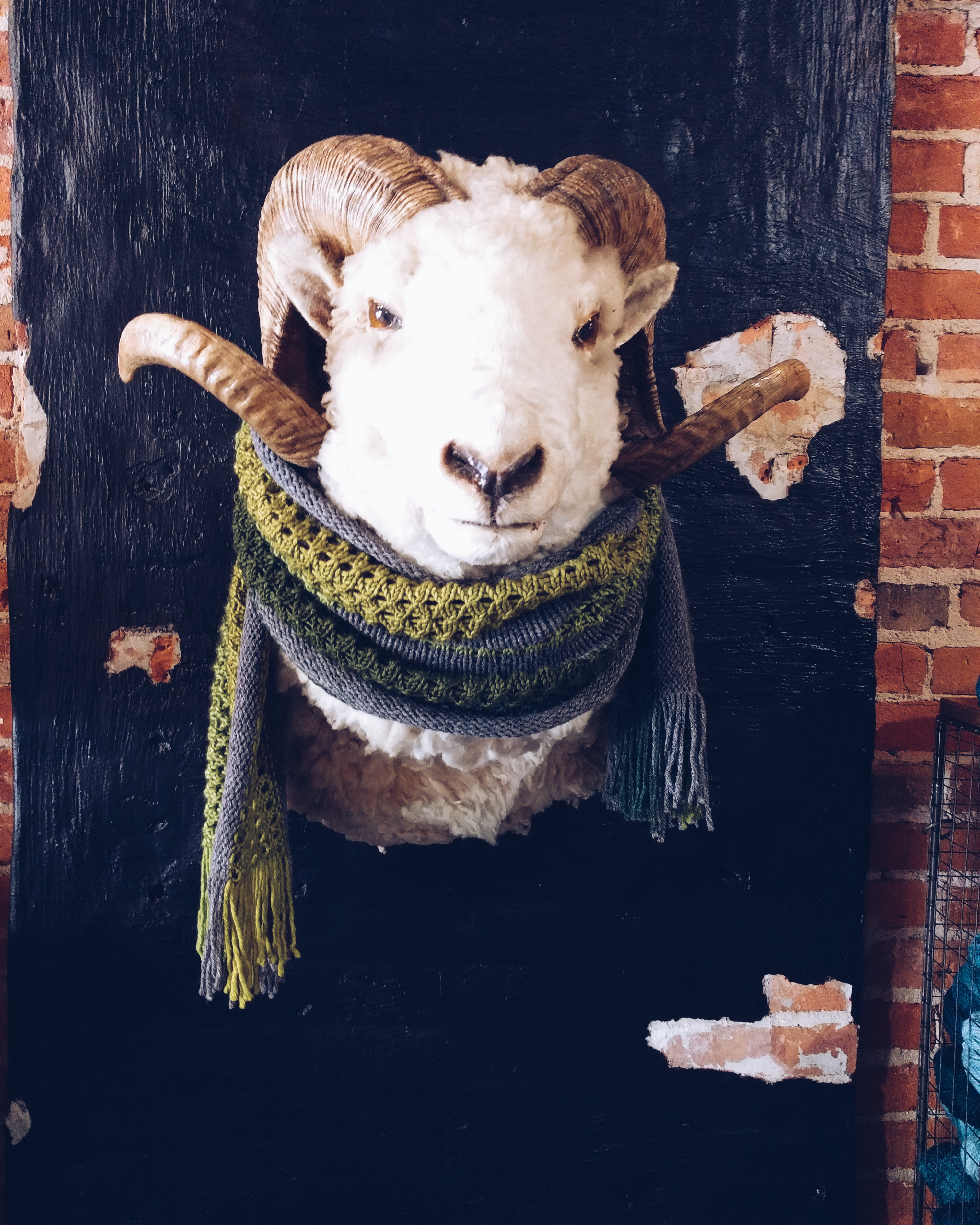 2018-06-02 03.53.59 1.jpg