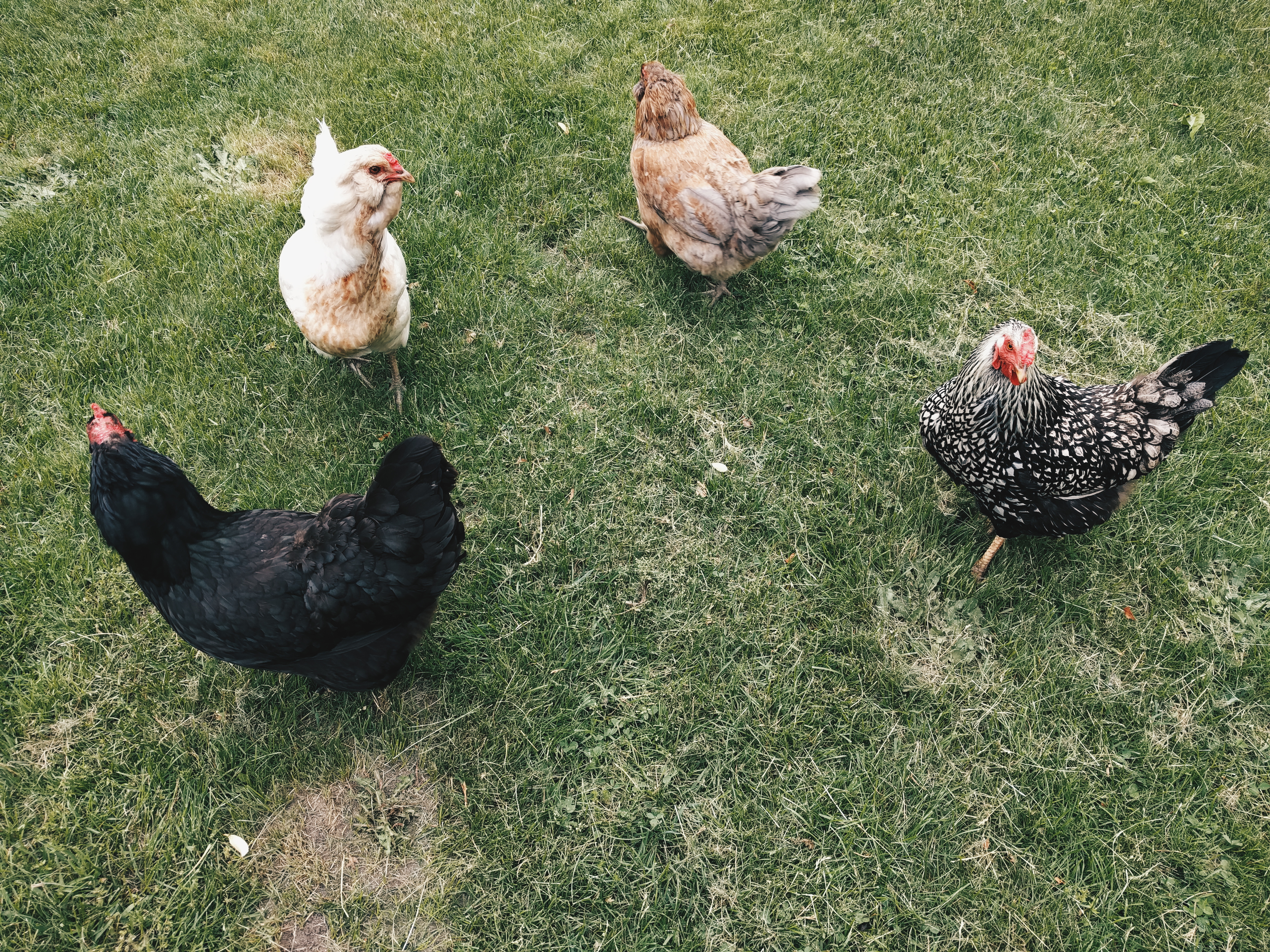 2018-06-02 07.08.18 1.jpg