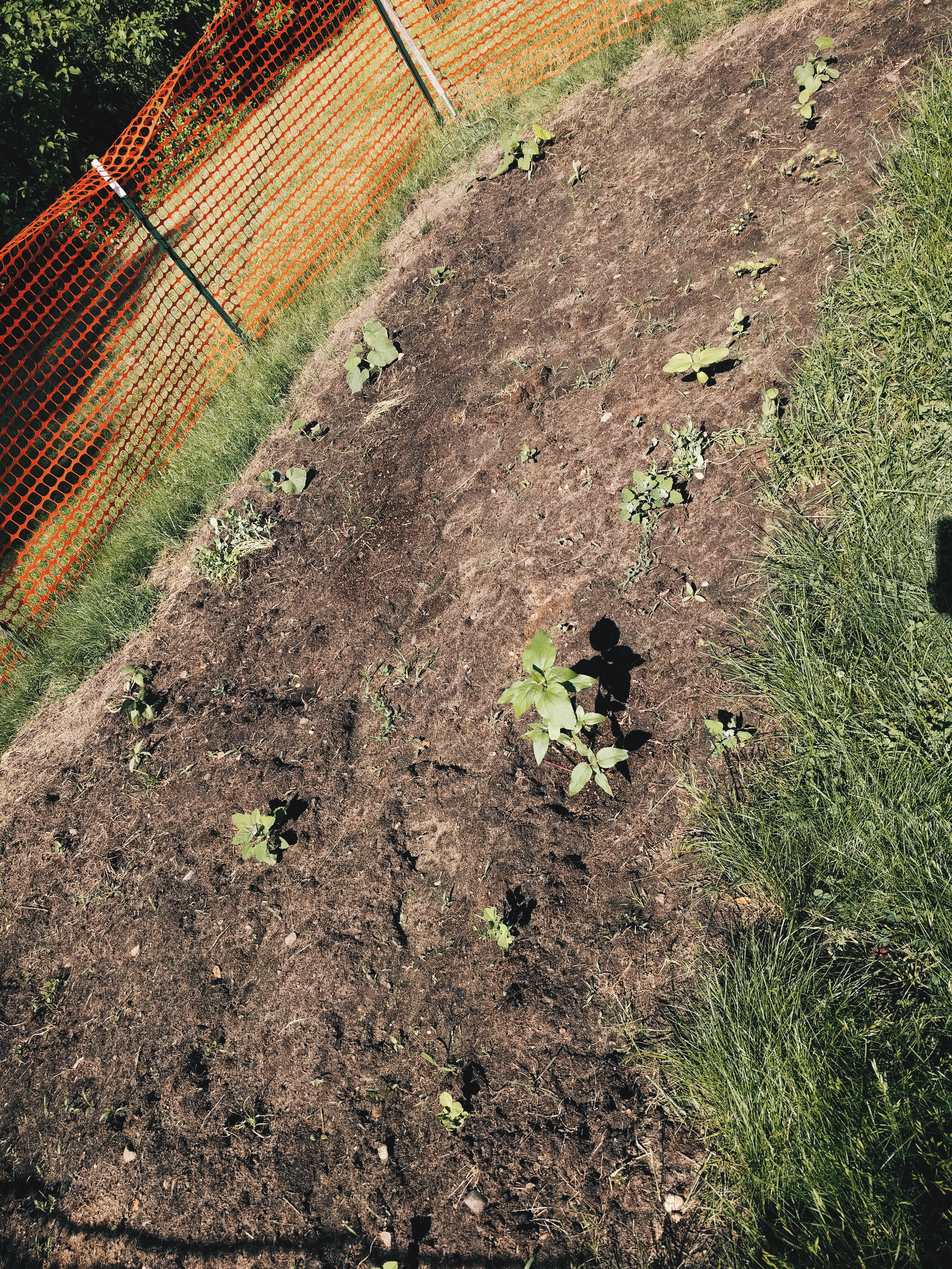 2018-06-02 07.08.23 1.jpg