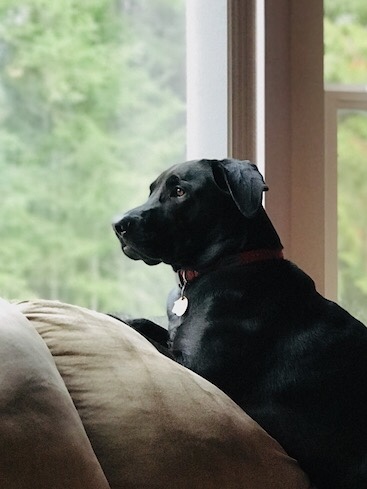 70631734-acde-440f-94da-2a862c8fc479